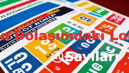 Hisselerin Dolaşımdaki Lot Sayıları