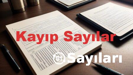 Kayıp Sayılar