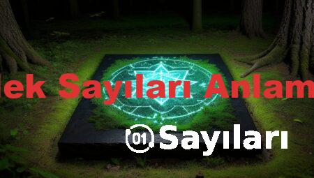 Melek Sayıları Anlamları