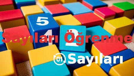 Sayıları Öğrenme