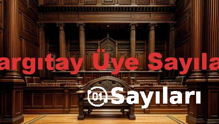 Yargıtay Üye Sayıları