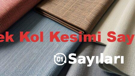 Yelek Kol Kesimi Sayıları