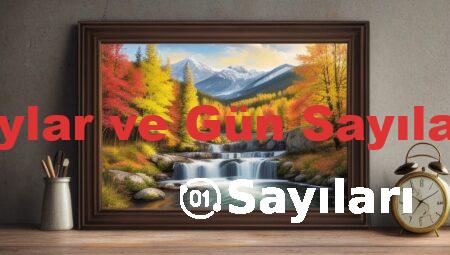 Aylar ve Gün Sayıları