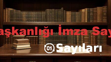 Cumhurbaşkanlığı İmza Sayıları YSK