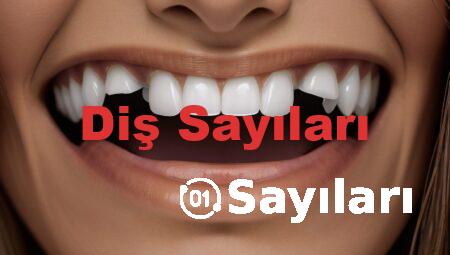 Diş Sayıları