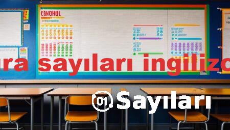 sıra sayıları ingilizce