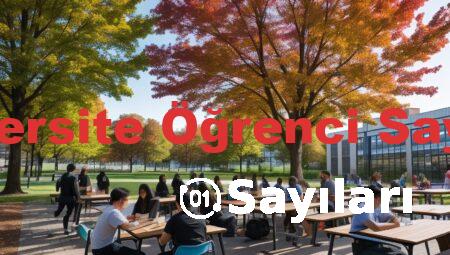 Üniversite Öğrenci Sayıları