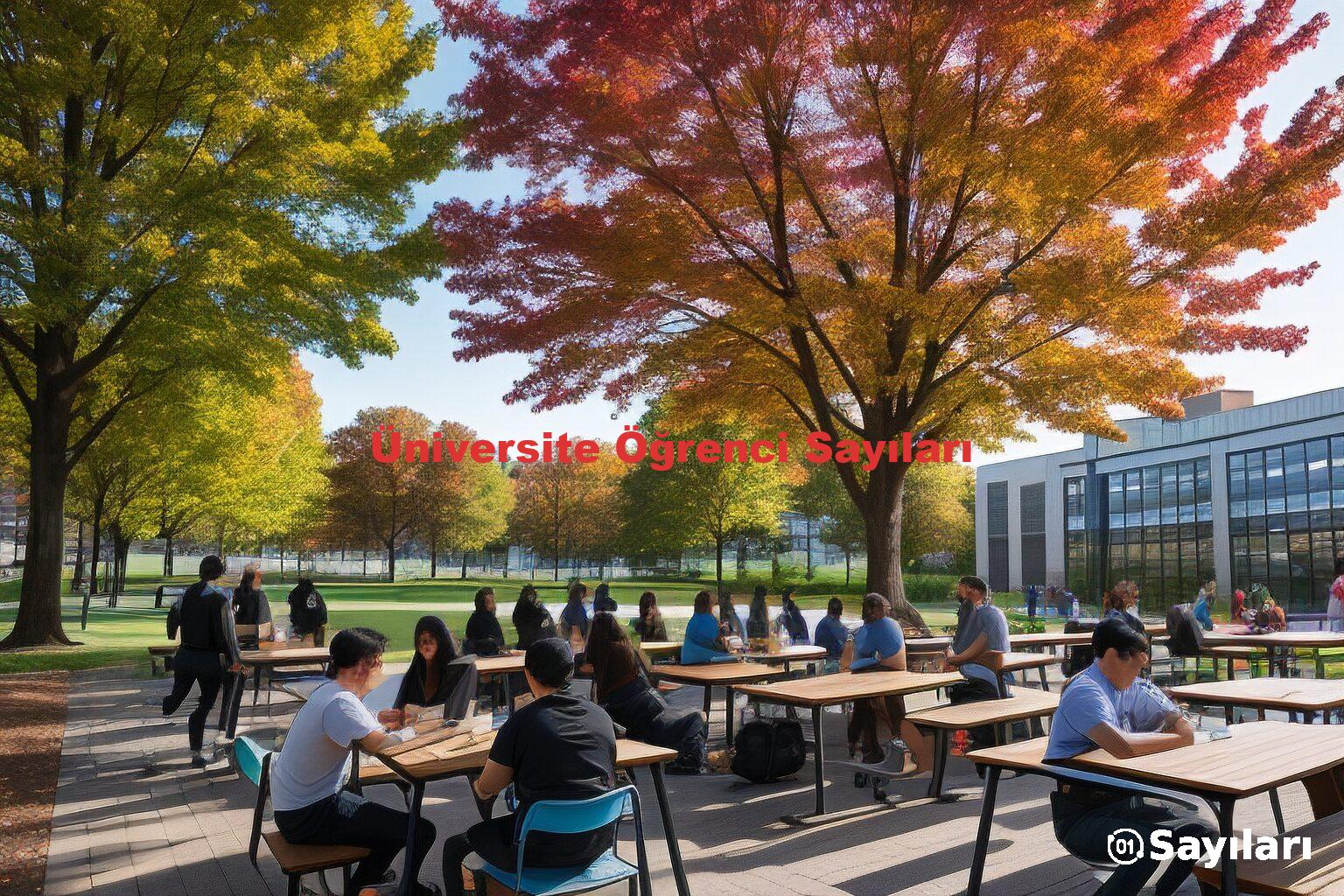 Üniversite Öğrenci Sayıları