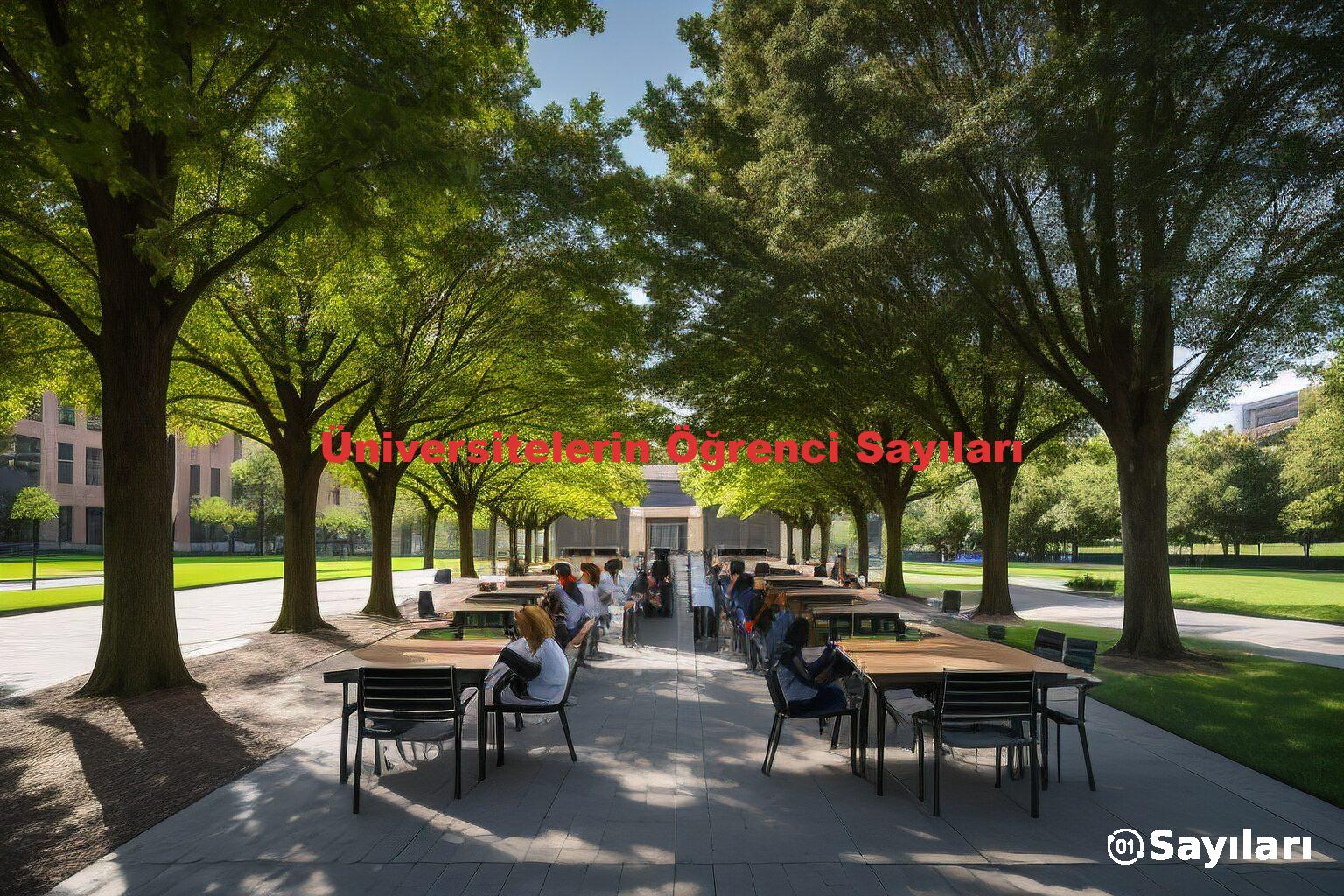 Üniversitelerin Öğrenci Sayıları
