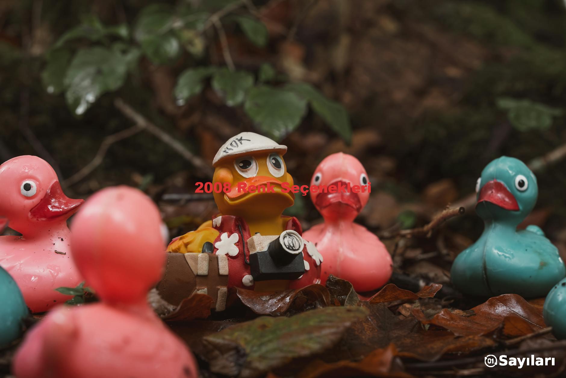 2008 Renk Seçenekleri