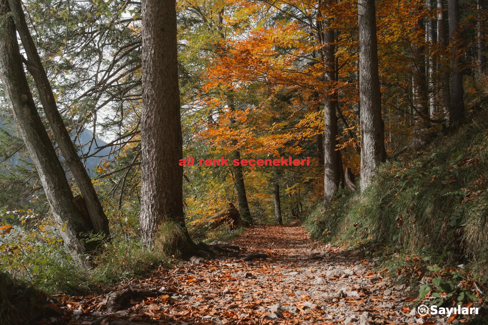 a9 renk seçenekleri