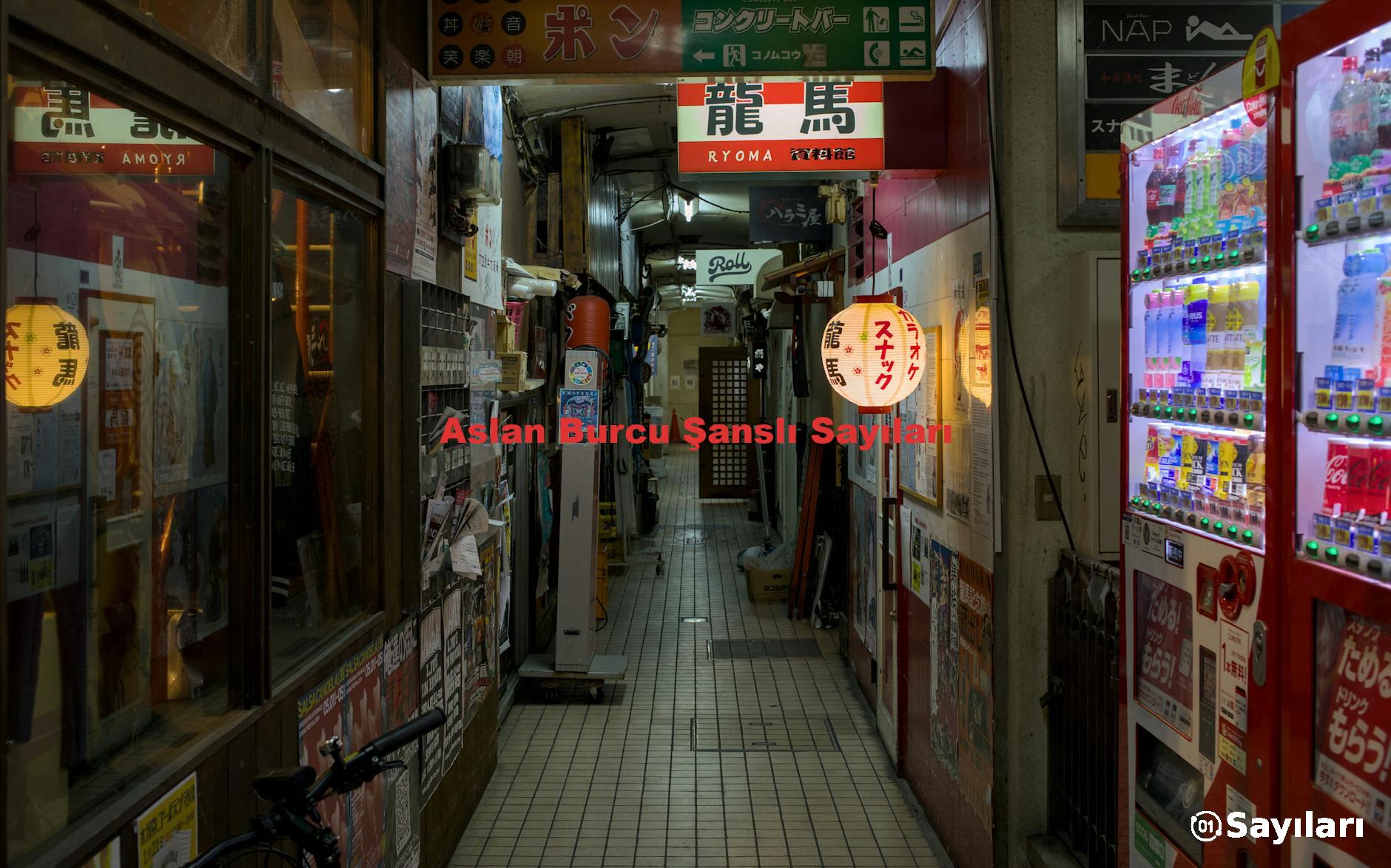 Aslan Burcu Şanslı Sayıları