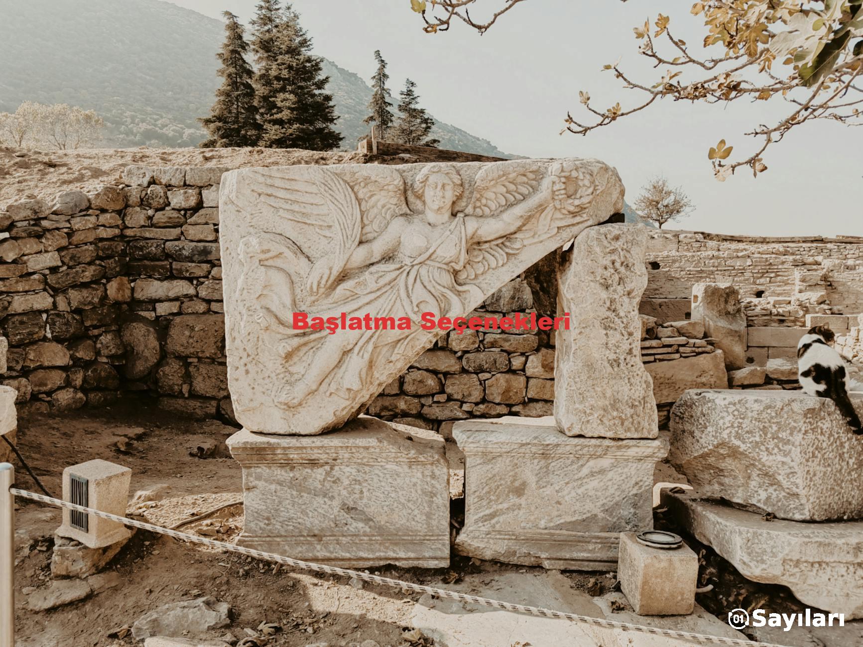 Başlatma Seçenekleri