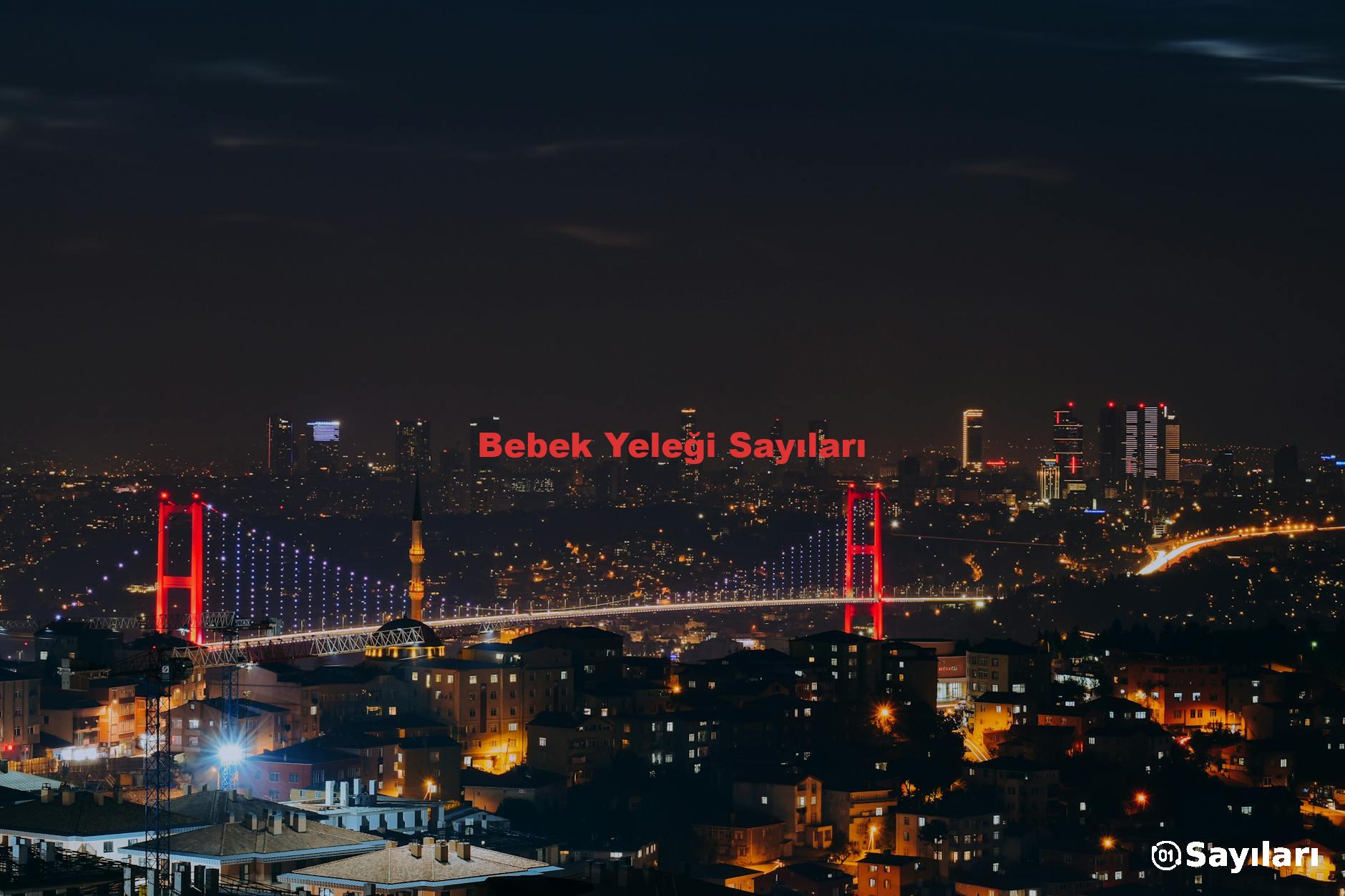 Bebek Yeleği Sayıları