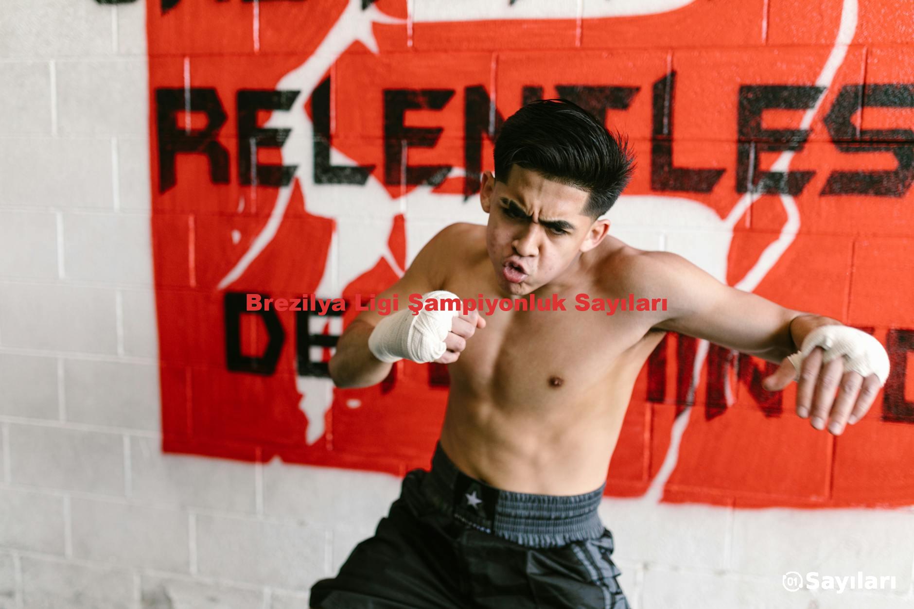 Brezilya Ligi Şampiyonluk Sayıları