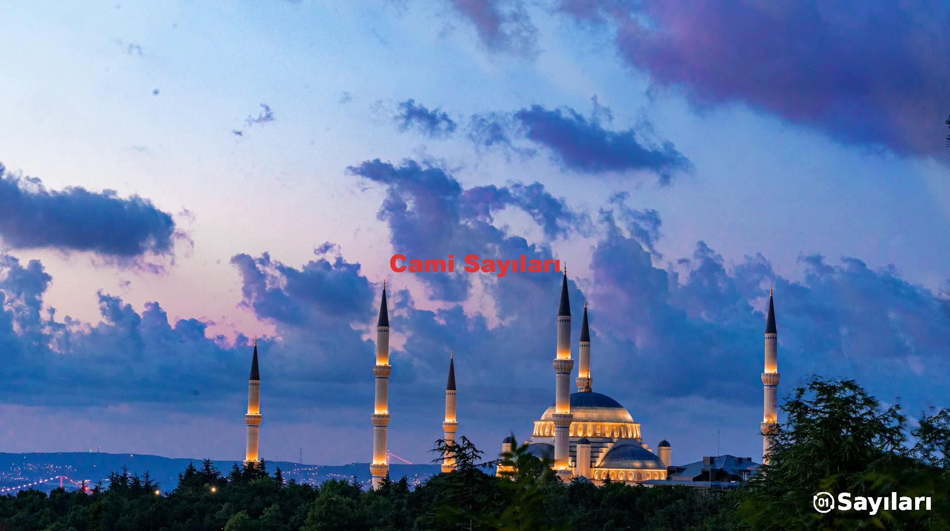 Cami Sayıları