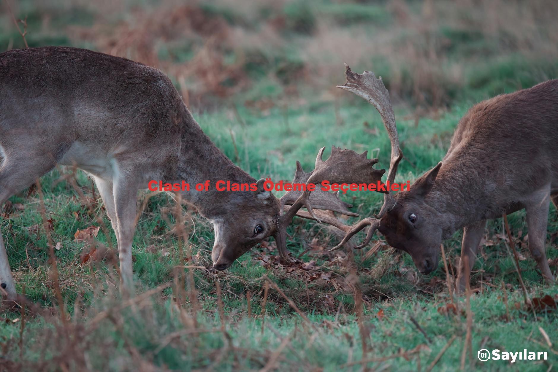 Clash of Clans Ödeme Seçenekleri