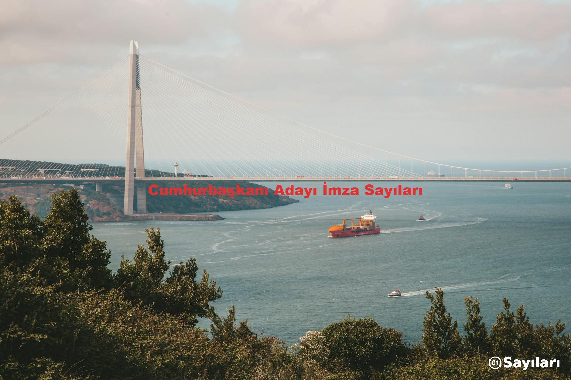 Cumhurbaşkanı Adayı İmza Sayıları