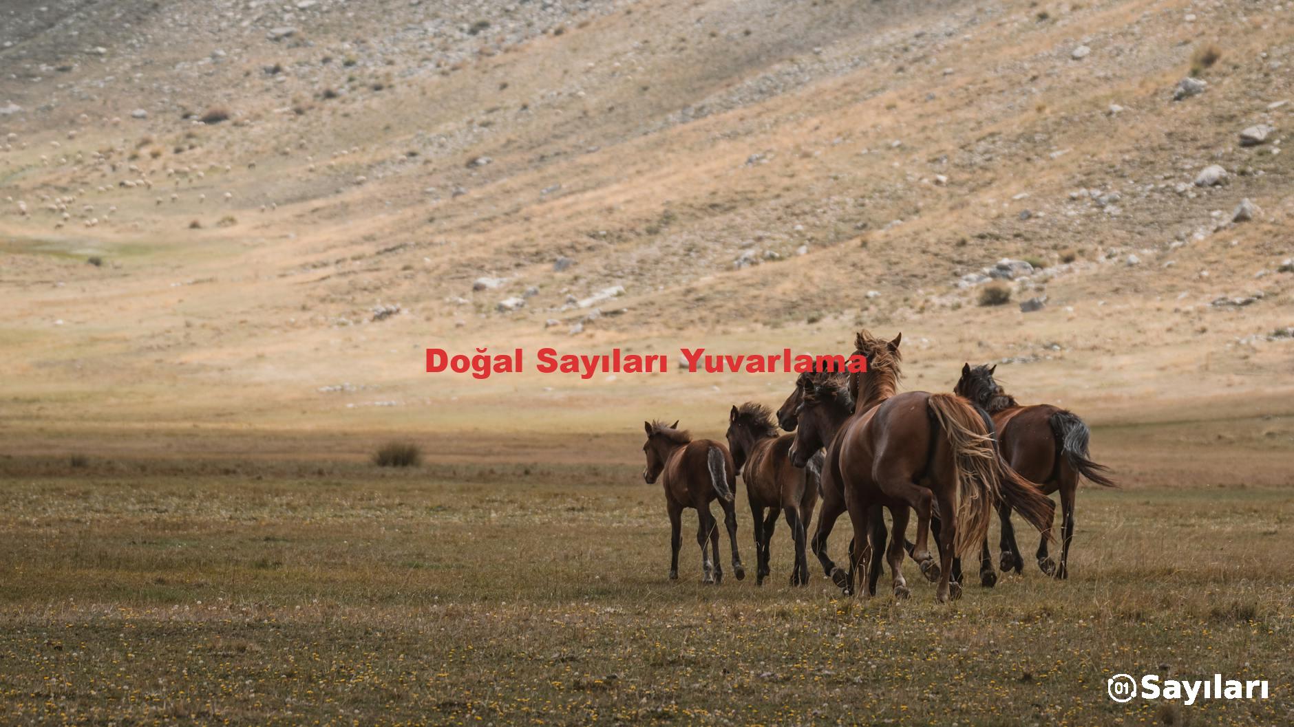 Doğal Sayıları Yuvarlama