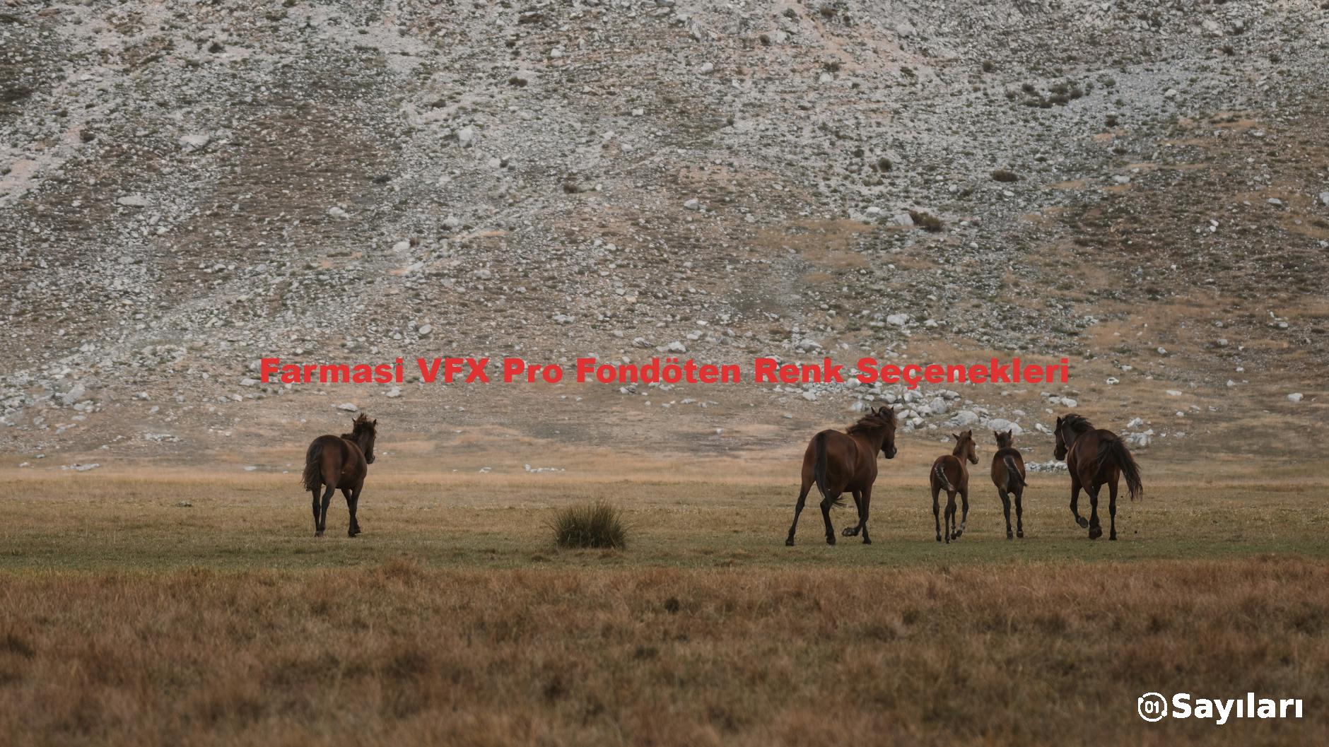 Farmasi VFX Pro Fondöten Renk Seçenekleri