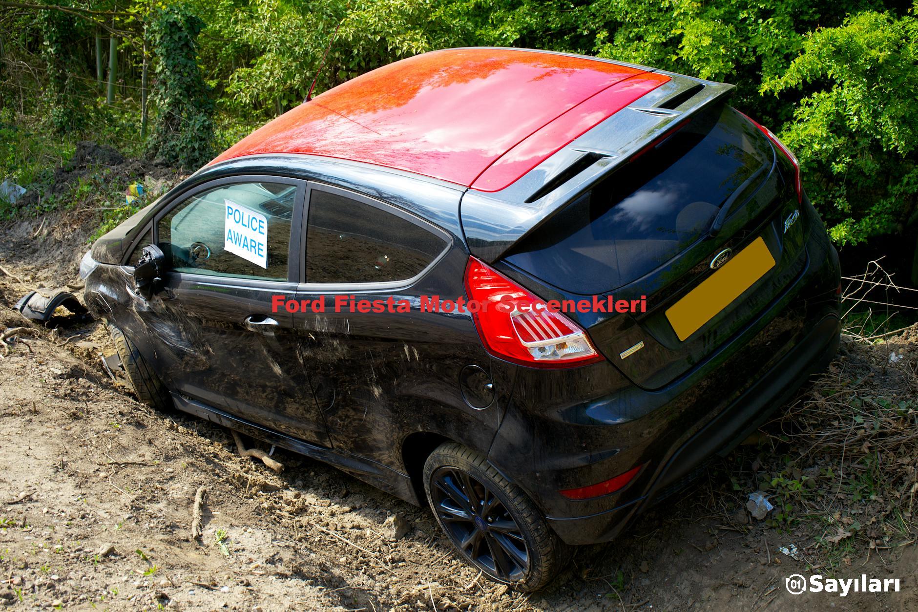Ford Fiesta Motor Seçenekleri