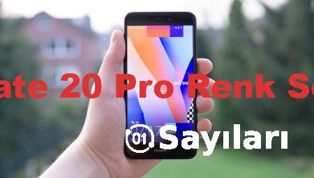 Huawei Mate 20 Pro Renk Seçenekleri