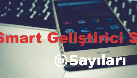 Huawei P Smart Geliştirici Seçenekleri