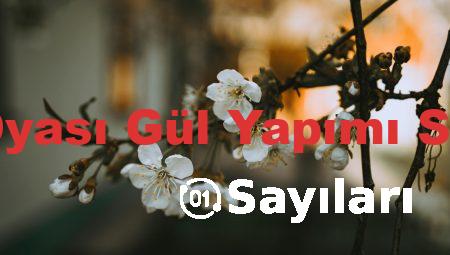 İğne Oyası Gül Yapımı Sayıları