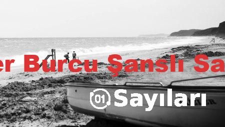 İkizler Burcu Şanslı Sayıları