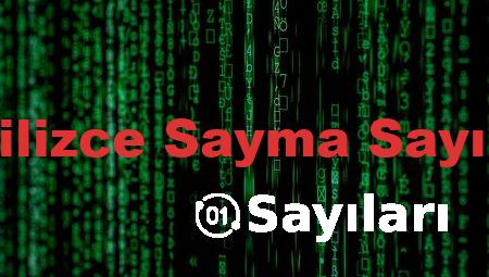 İngilizce Sayma Sayıları