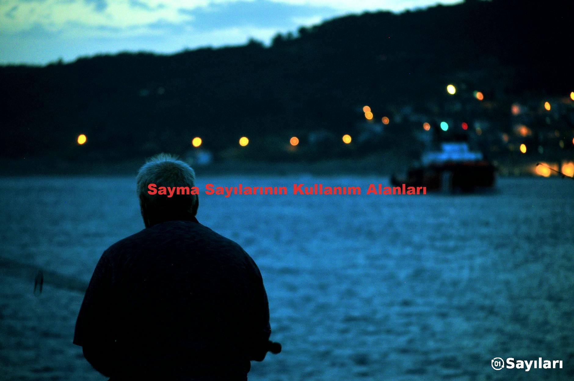 Sayma Sayılarının Kullanım Alanları