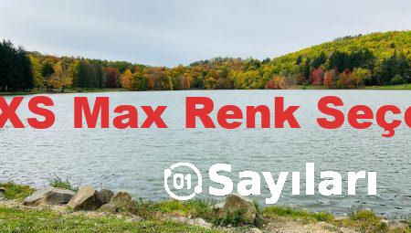 iPhone XS Max Renk Seçenekleri