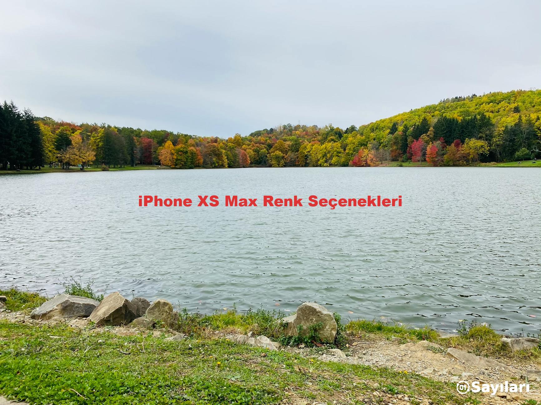 iPhone XS Max Renk Seçenekleri