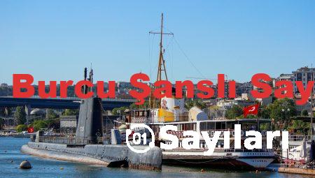 Koç Burcu Şanslı Sayıları