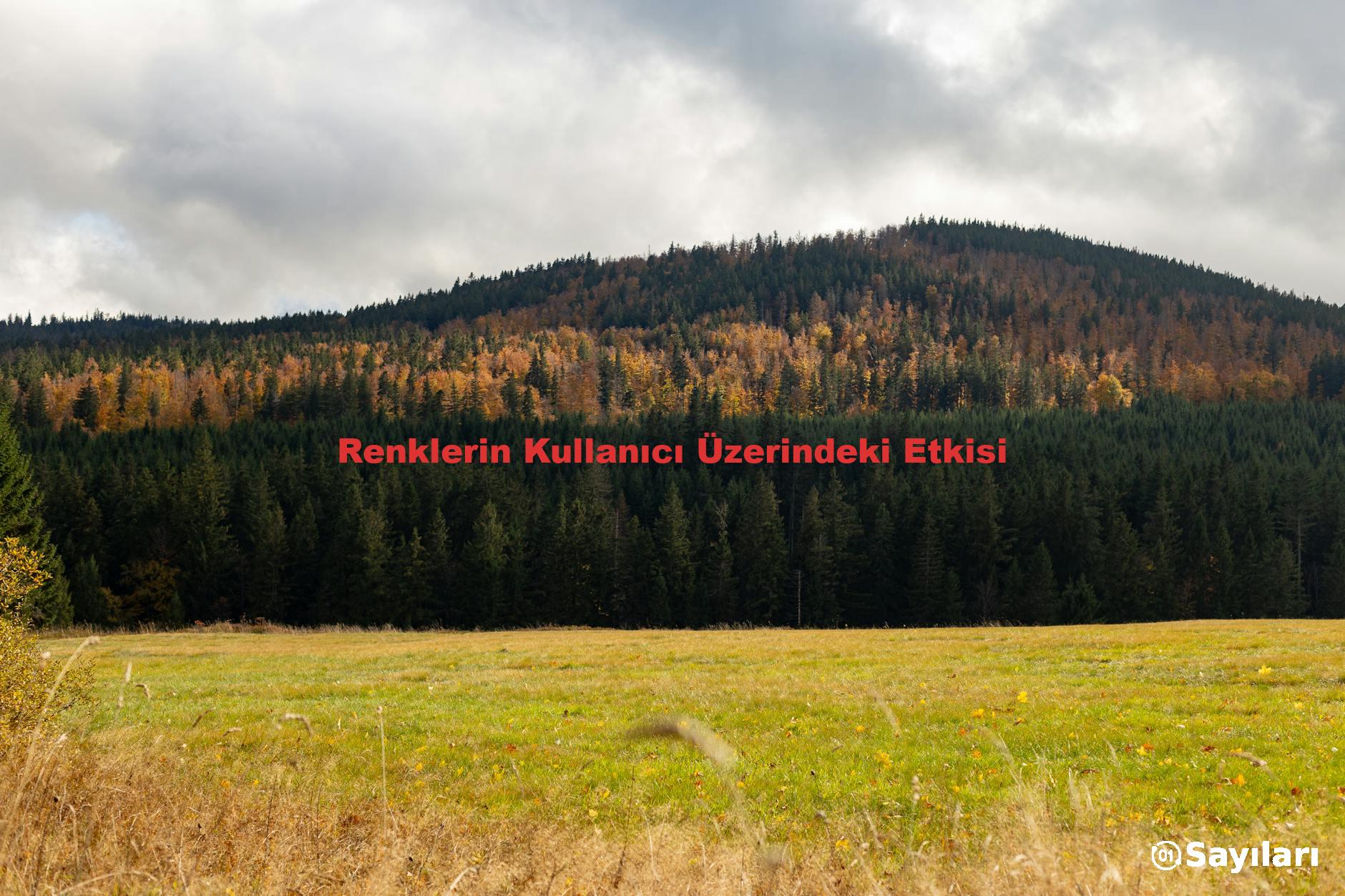 Renklerin Kullanıcı Üzerindeki Etkisi