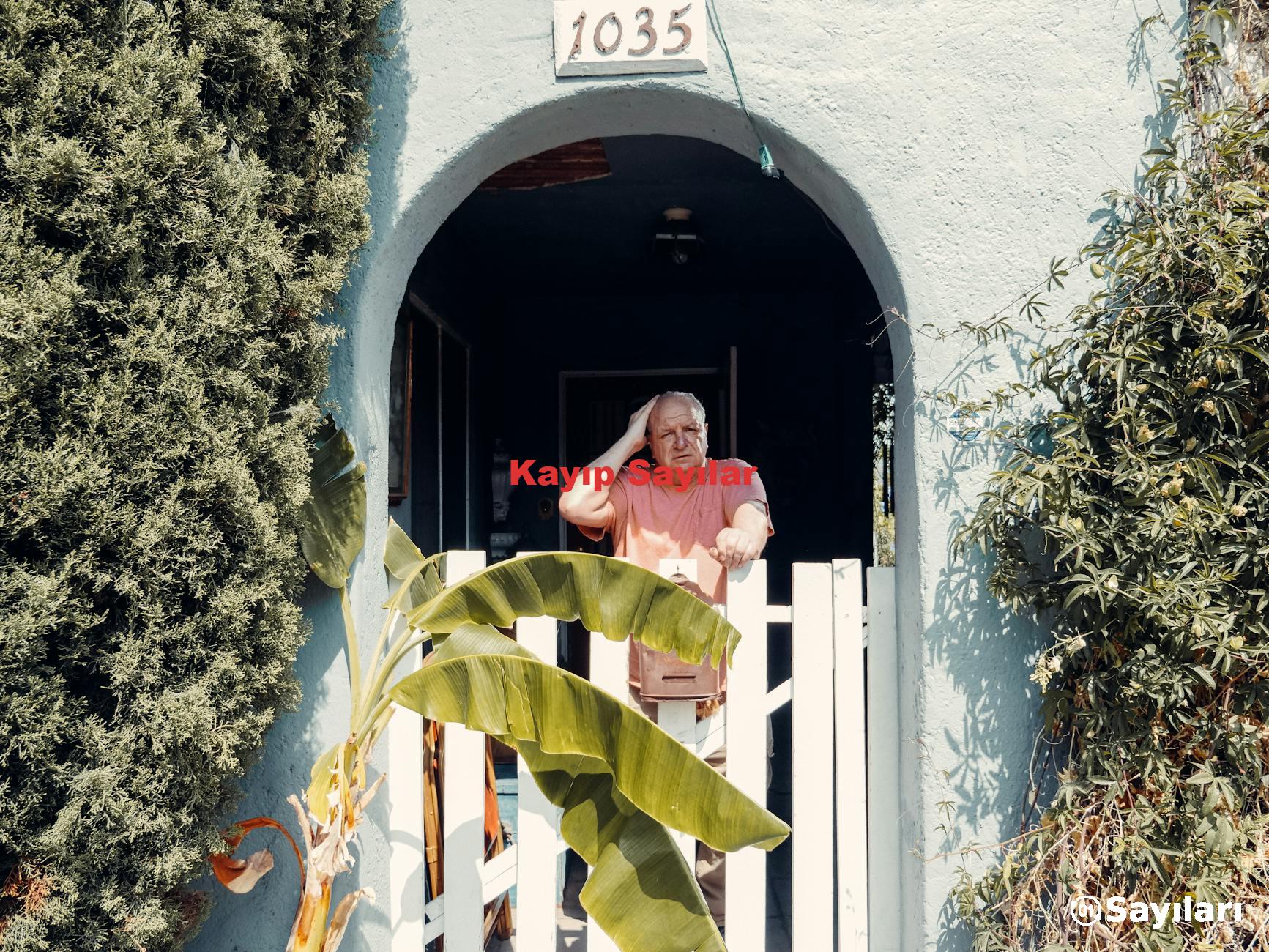 Kayıp Sayılar