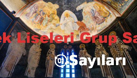 Meslek Liseleri Grup Sayıları