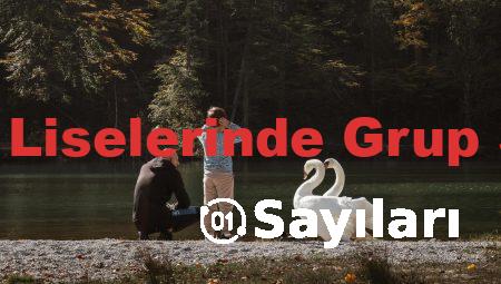 Meslek Liselerinde Grup Sayıları