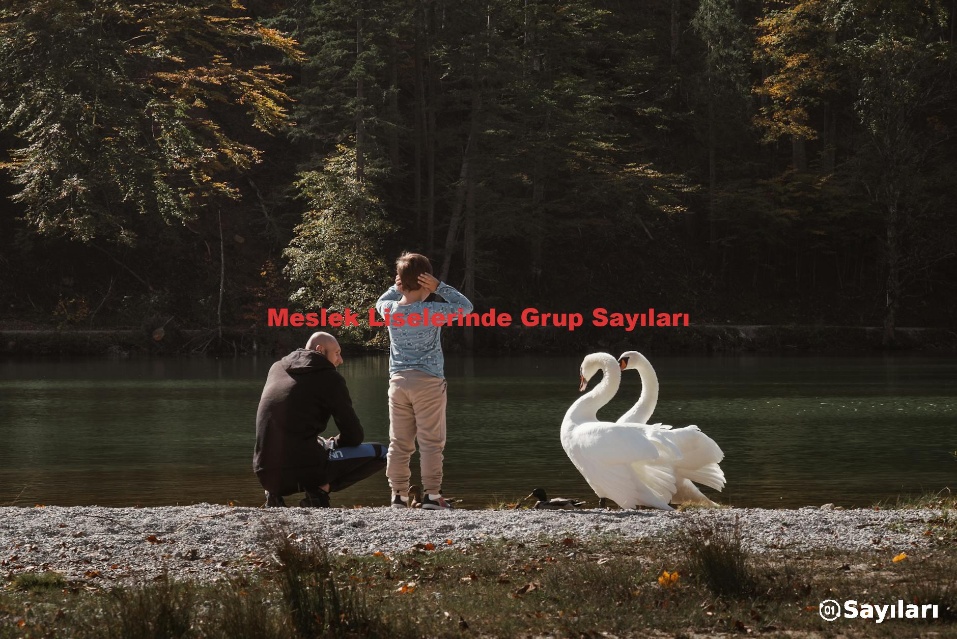 Meslek Liselerinde Grup Sayıları