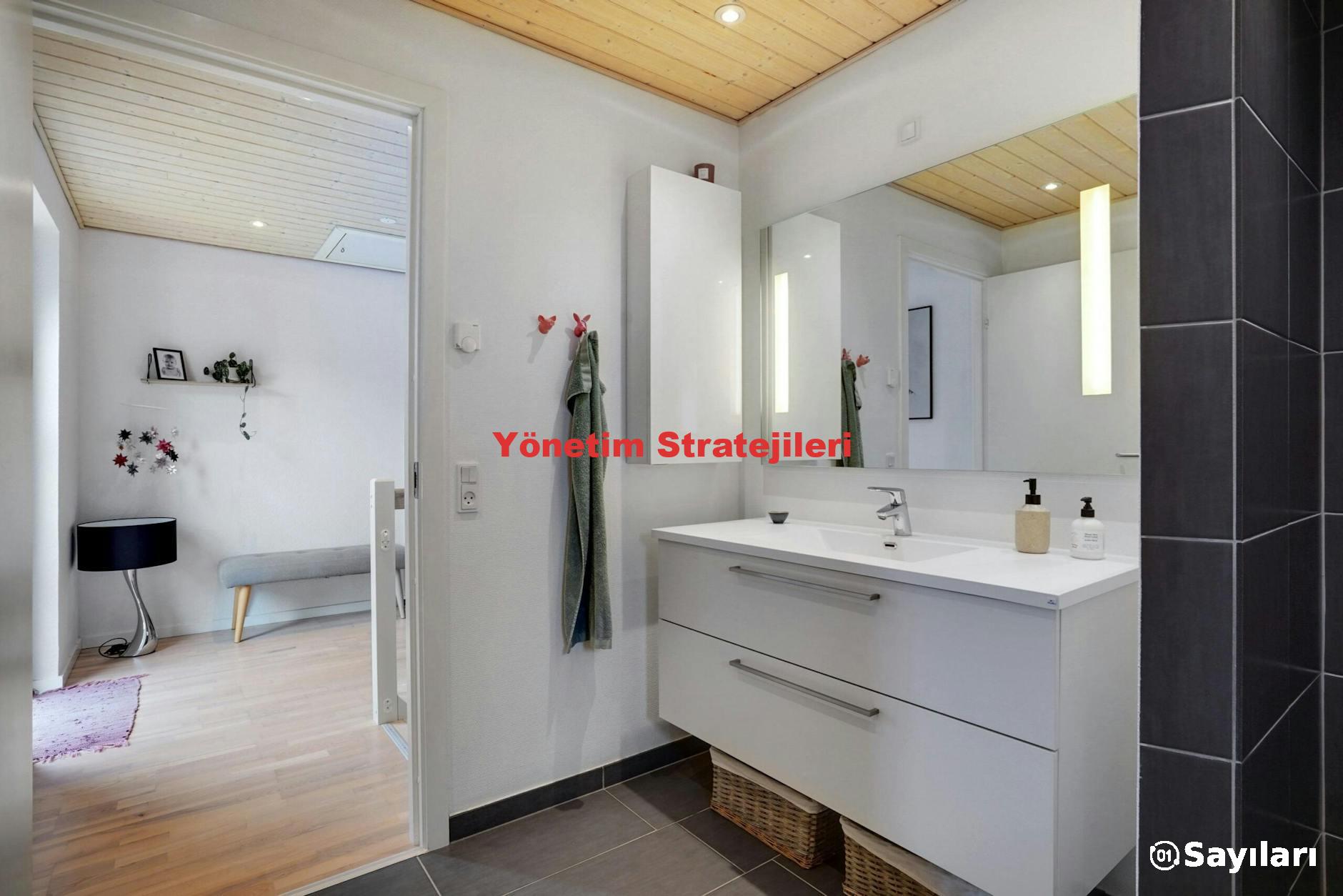 Yönetim Stratejileri