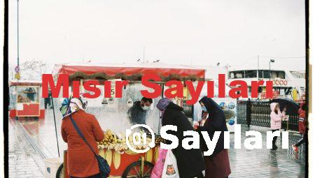 Mısır Sayıları