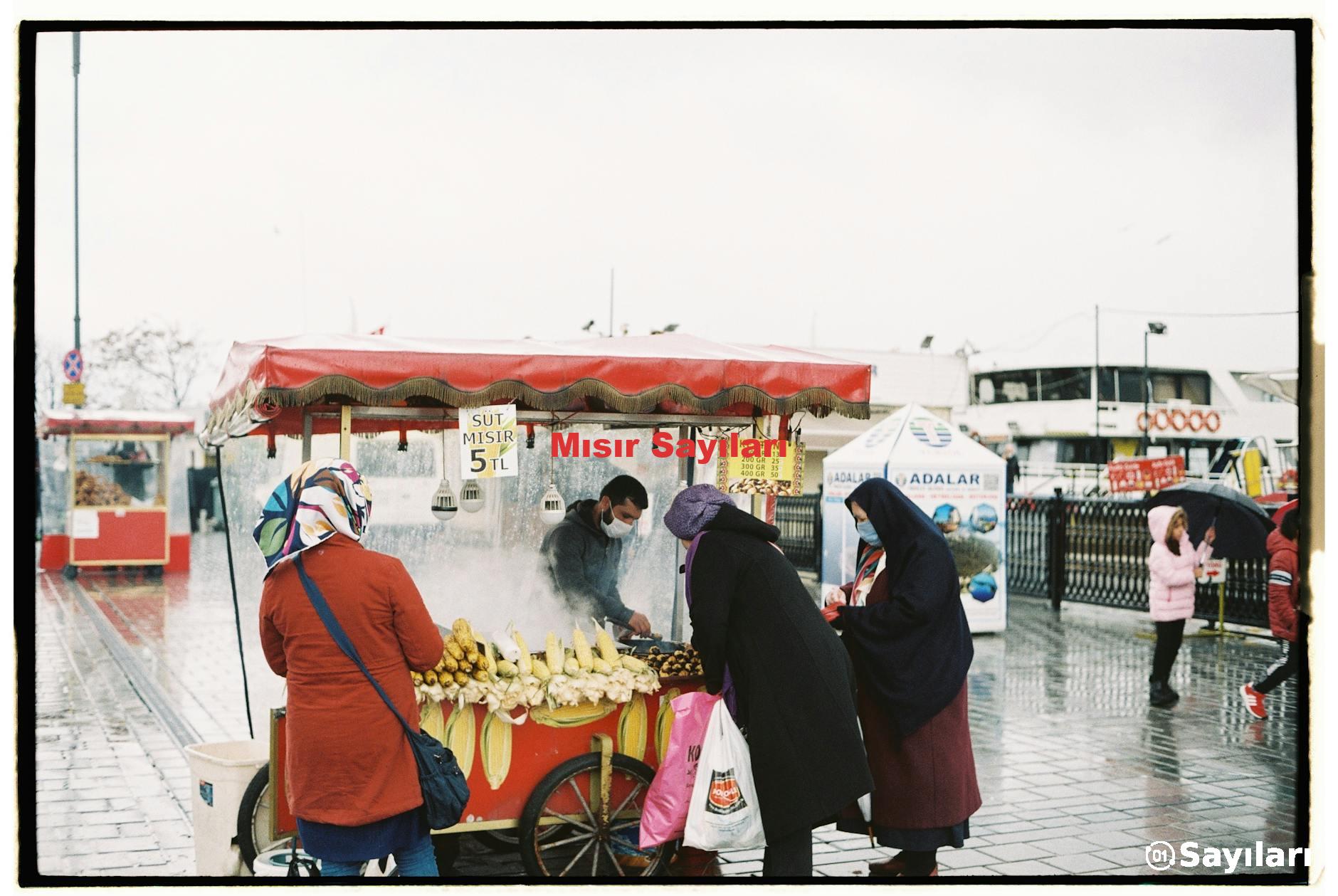 Mısır Sayıları