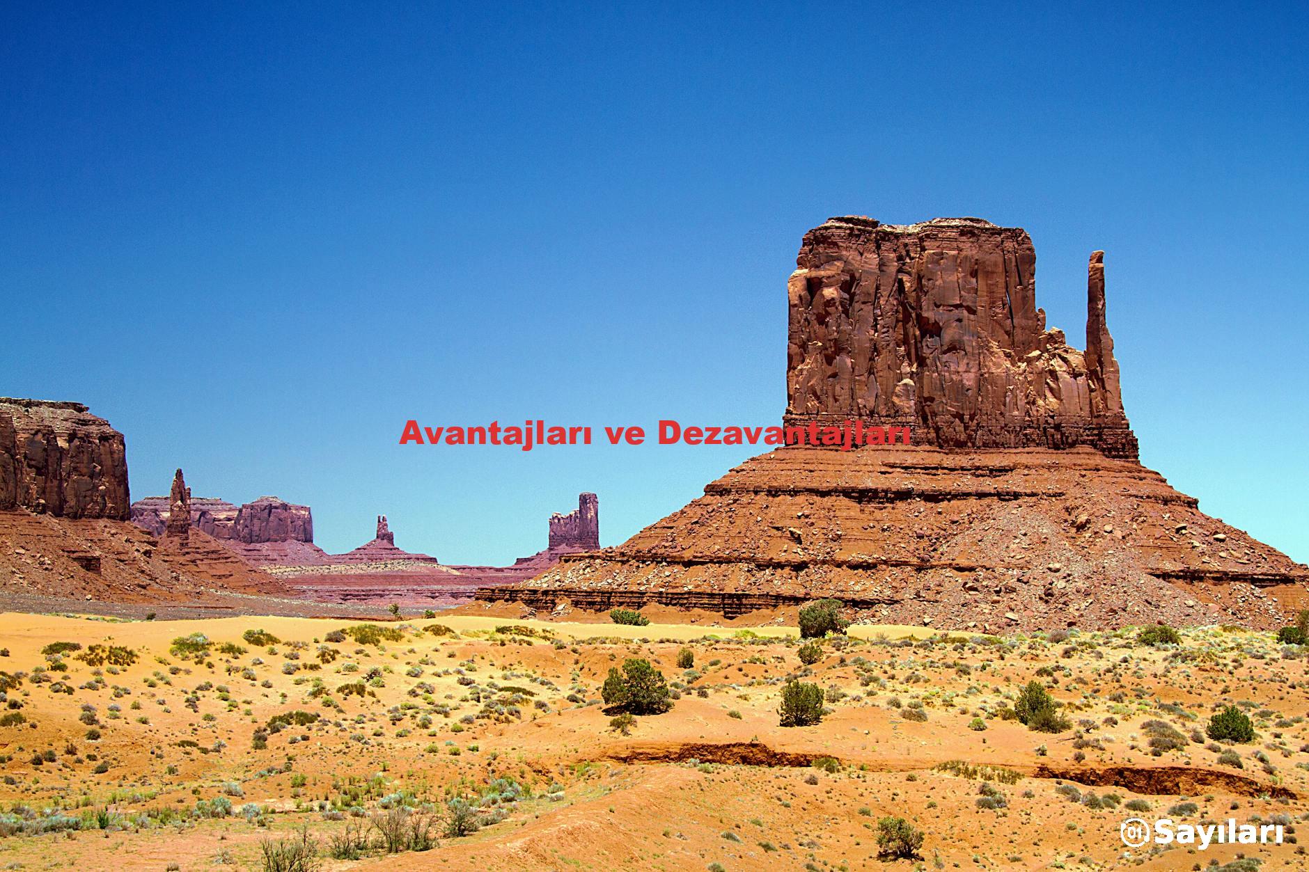 Avantajları ve Dezavantajları
