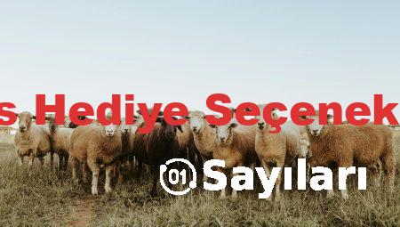 Ofis Hediye Seçenekleri