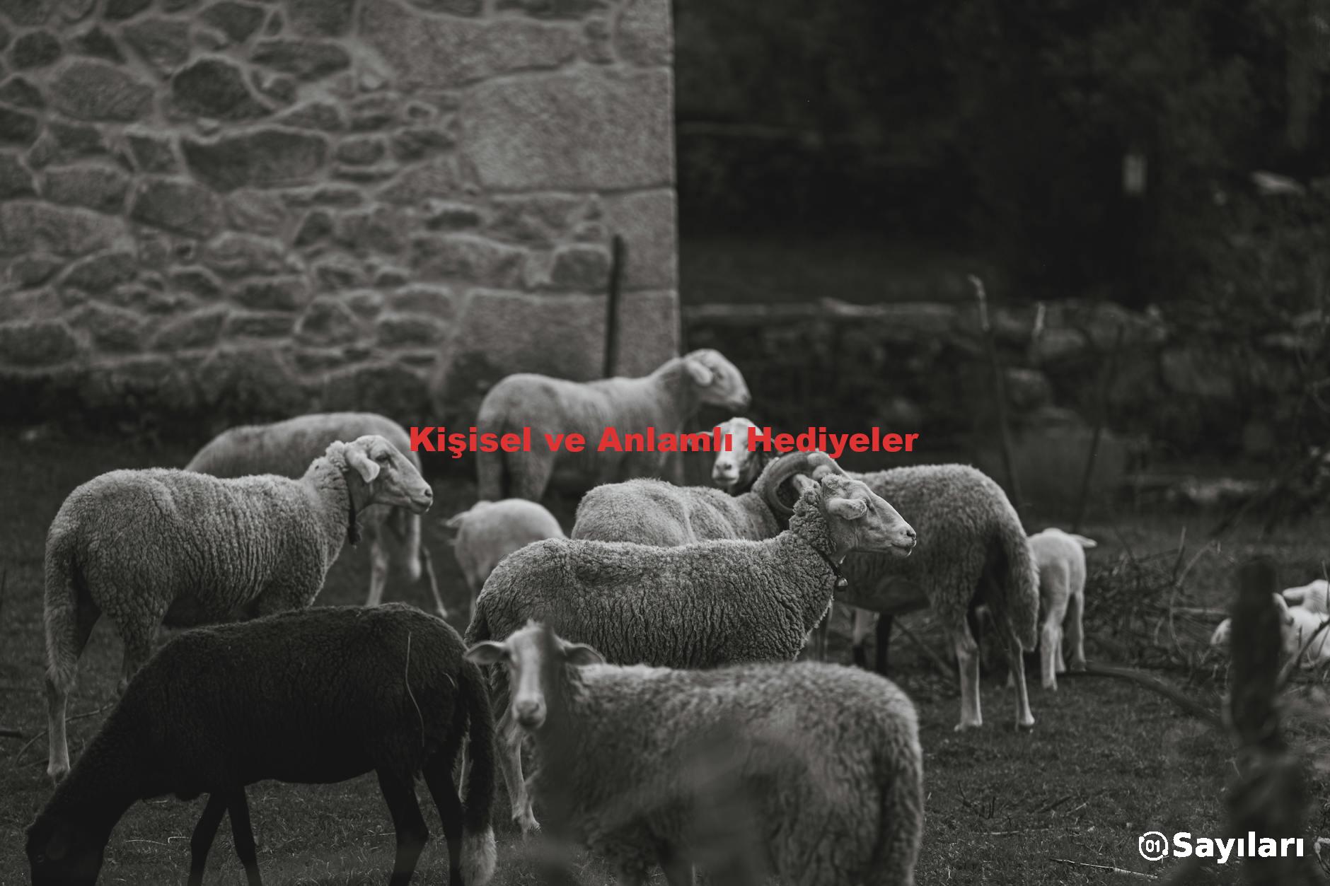 Kişisel ve Anlamlı Hediyeler