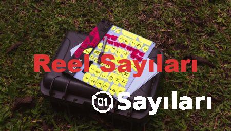 Reel Sayıları