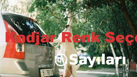 Renault Kadjar Renk Seçenekleri