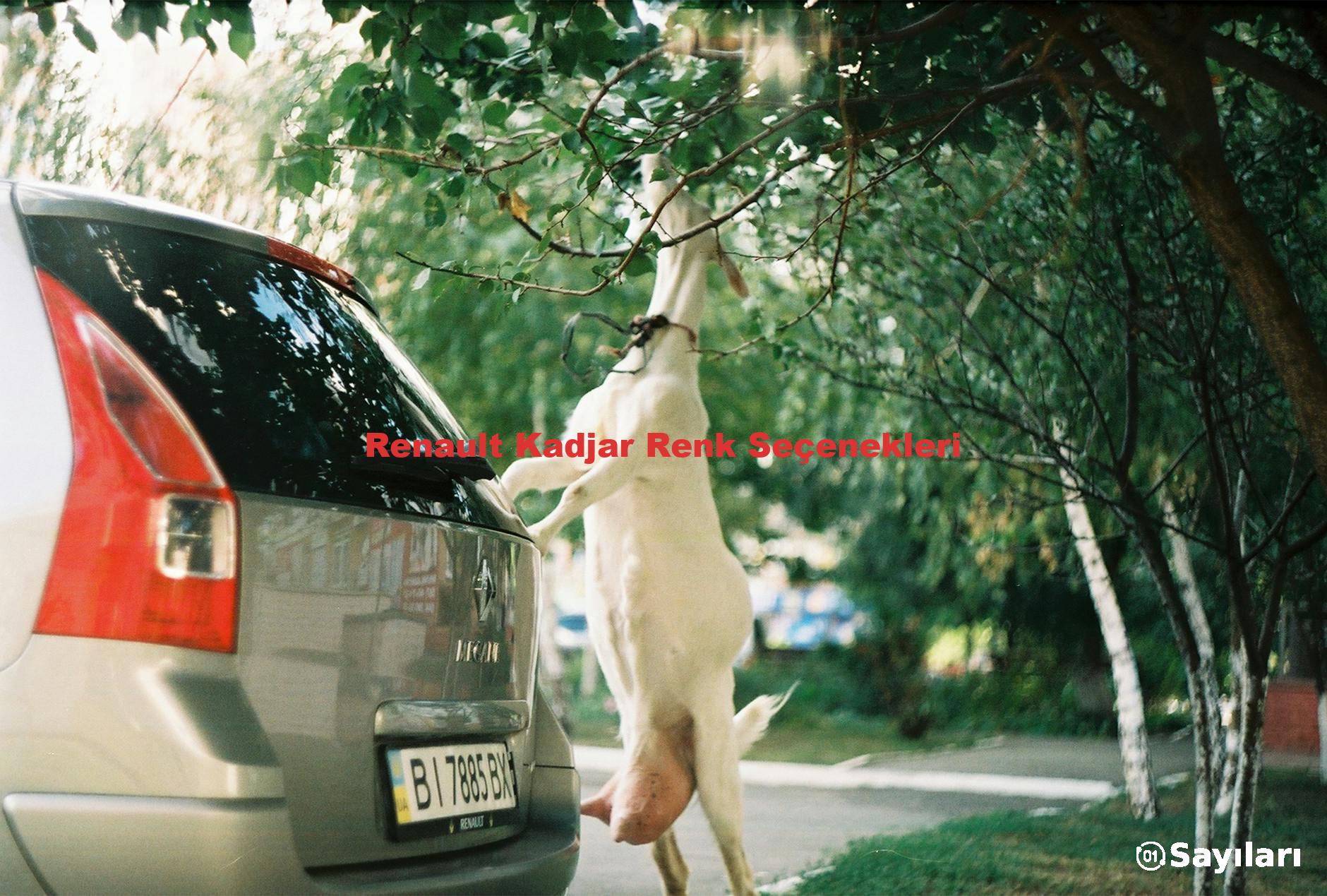 Renault Kadjar Renk Seçenekleri