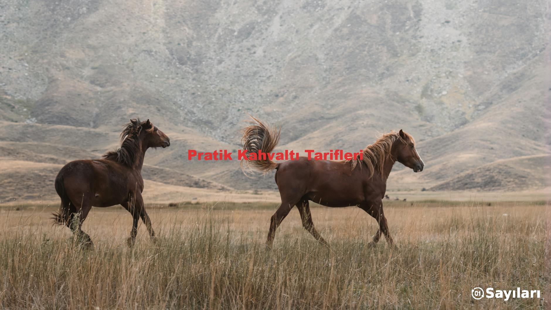 Pratik Kahvaltı Tarifleri