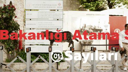Sağlık Bakanlığı Atama Sayıları